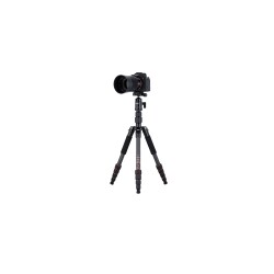 Rollei Compact Traveler No.1 Karbon Siyah Tripod - 5